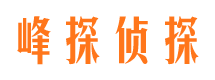 儋州外遇调查取证